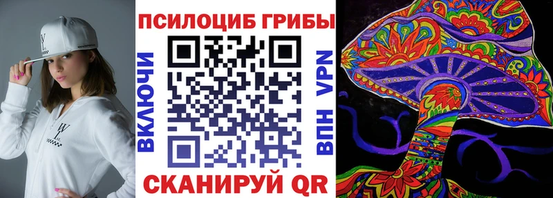 купить наркотики сайты  kraken tor  Галлюциногенные грибы Psilocybine cubensis  Гай 