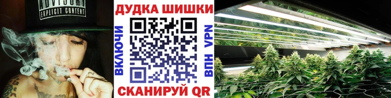 Шишки марихуана марихуана  магазин продажи наркотиков  Гай 